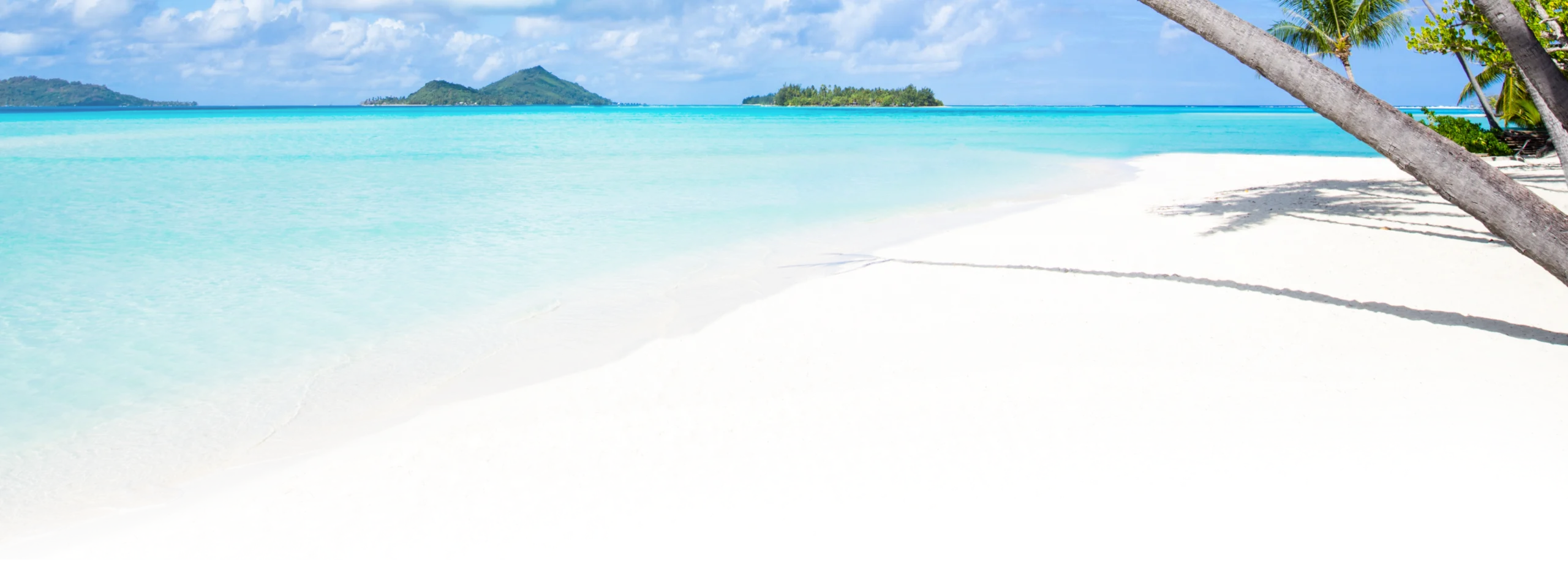 appareils dentaires punaauia adolescent scaled Accueil Dr Isabelle Chartres, Orthodontiste Tahiti